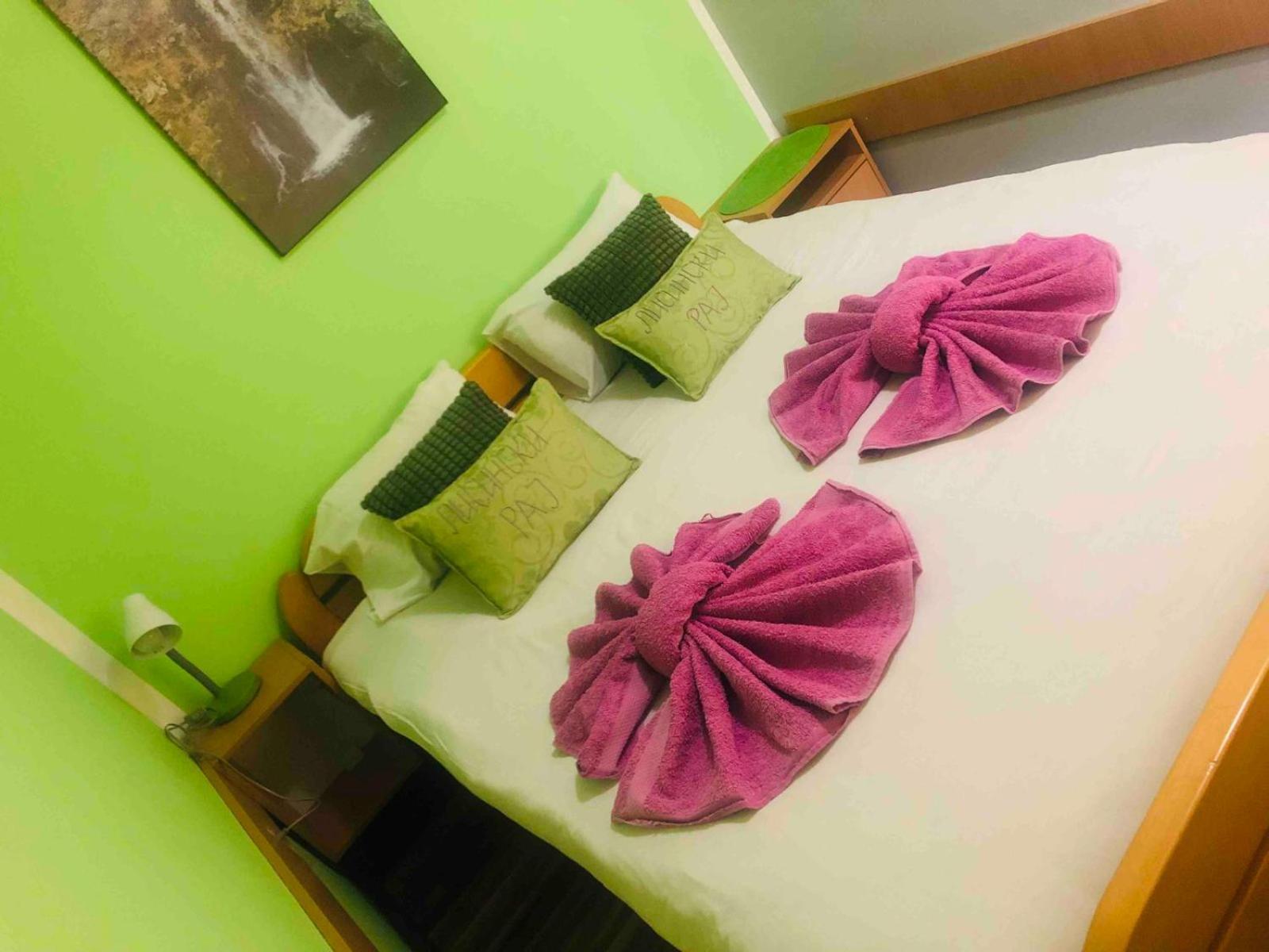Guest House Lisinski Raj Despotovac Quarto foto