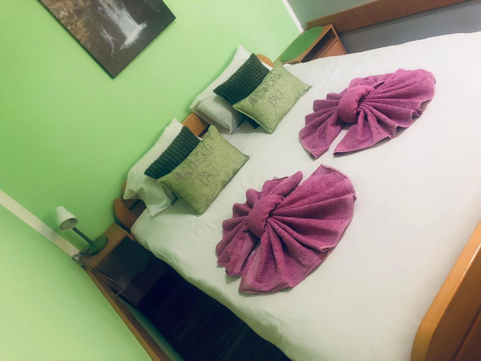 Guest House Lisinski Raj Despotovac Quarto foto