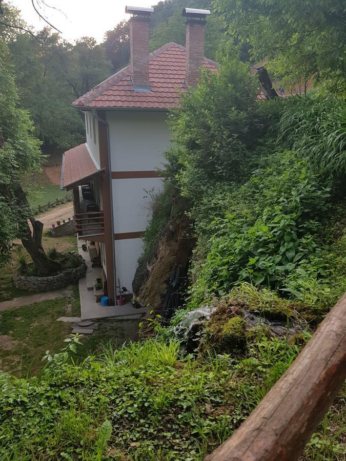 Guest House Lisinski Raj Despotovac Exterior foto
