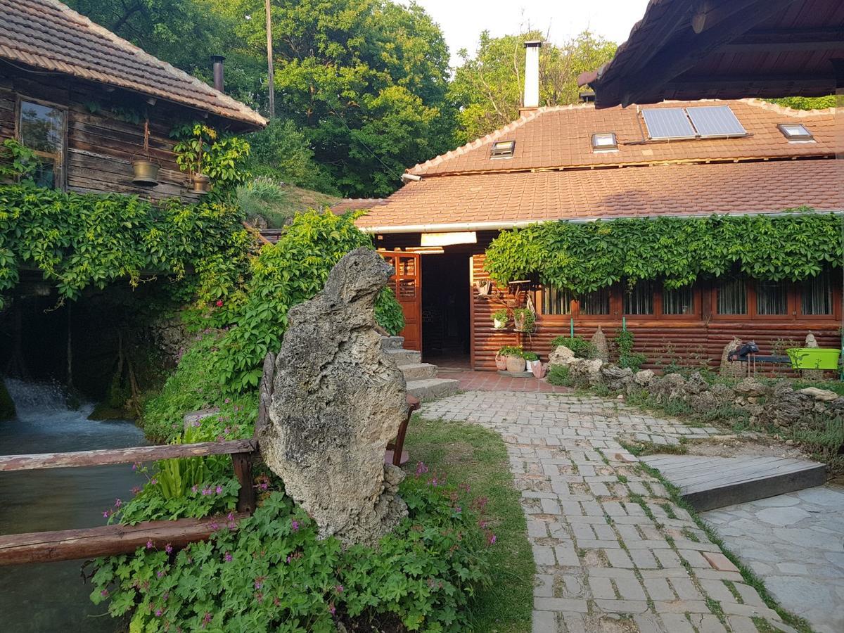 Guest House Lisinski Raj Despotovac Exterior foto