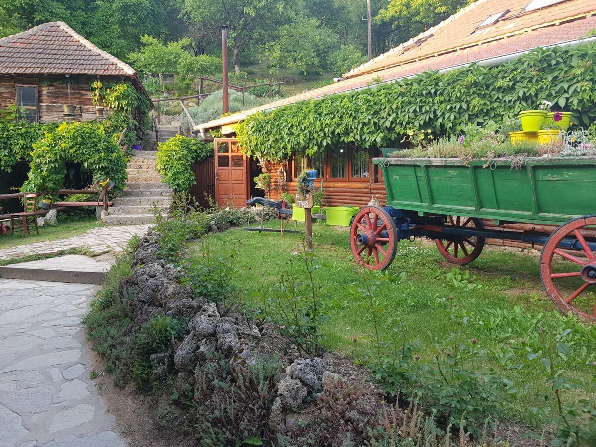Guest House Lisinski Raj Despotovac Exterior foto