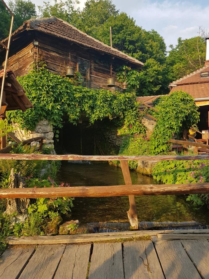 Guest House Lisinski Raj Despotovac Exterior foto